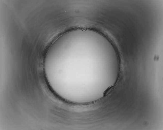 X0000113120017200908281053
