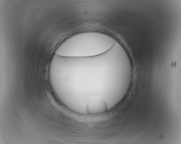 X0000113120018200908281053