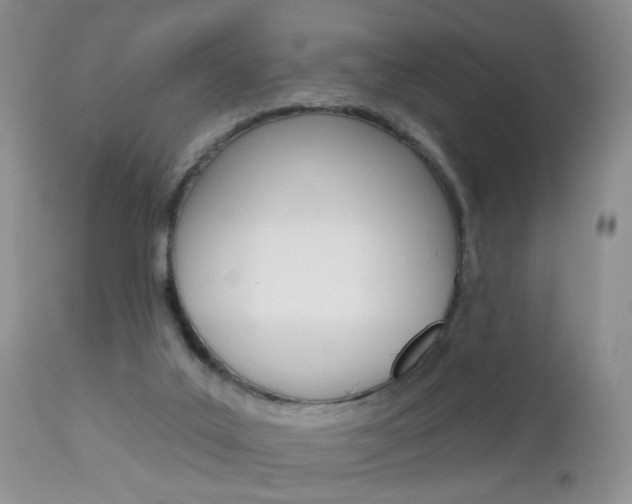 X0000113120019200908281053