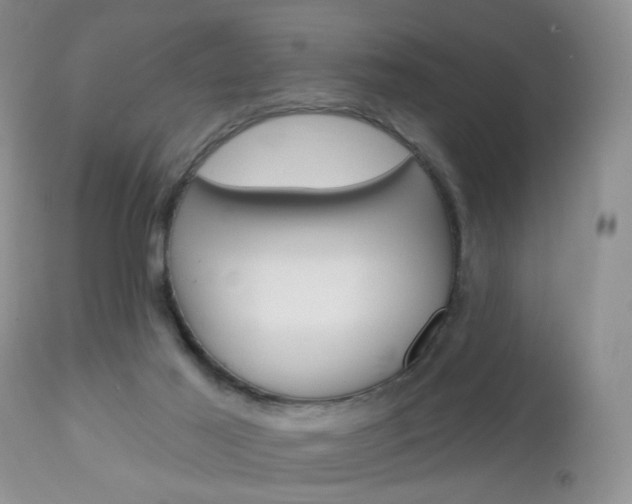 X0000113120021200908281053