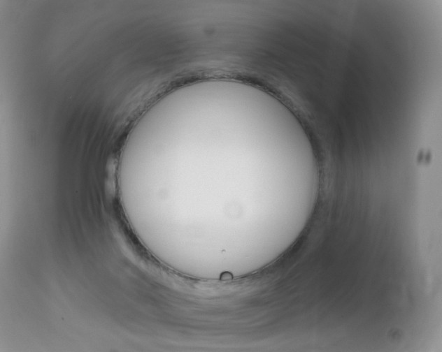 X0000113120022200908281053