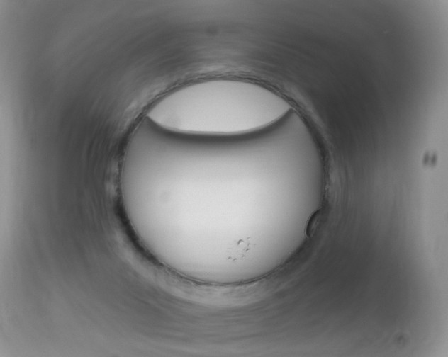 X0000113120023200908281053