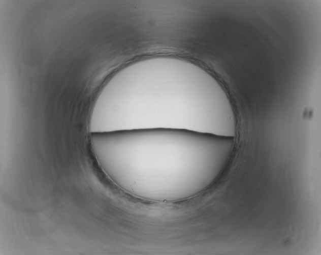 X0000113120024200908281053