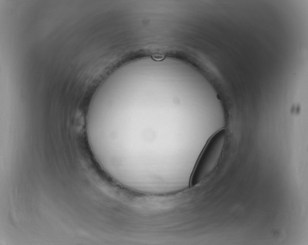 X0000113120025200908281052
