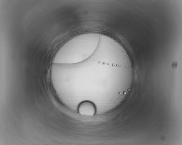 X0000113120026200908281052