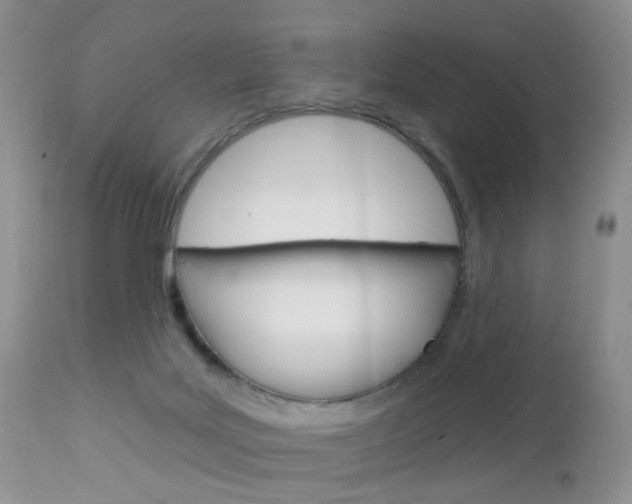X0000113120027200908281052