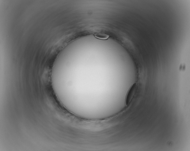 X0000113120029200908281052