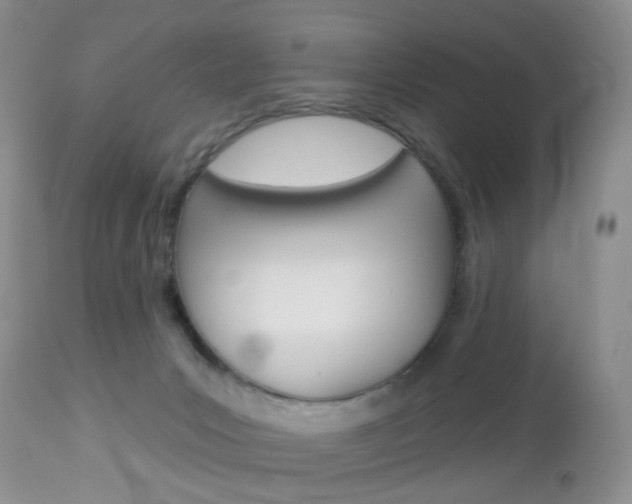 X0000113120031200908281052
