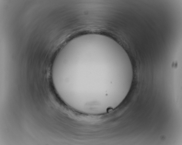X0000113120032200908281052