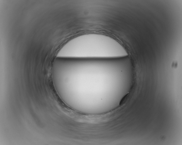 X0000113120033200908281052