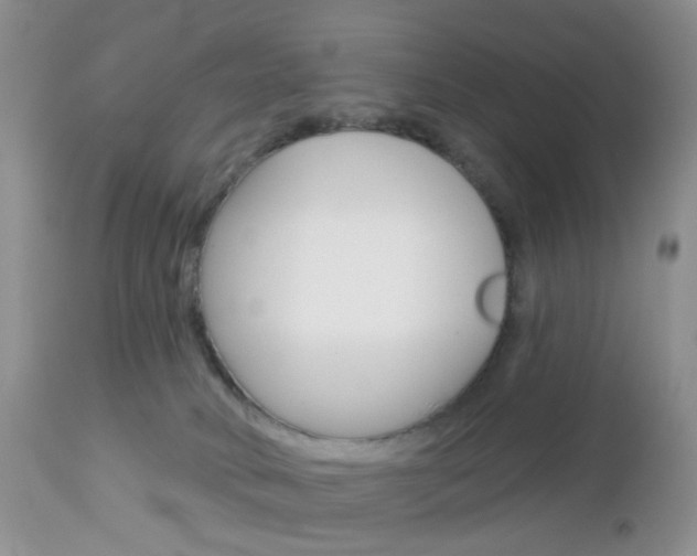 X0000113120034200908281052
