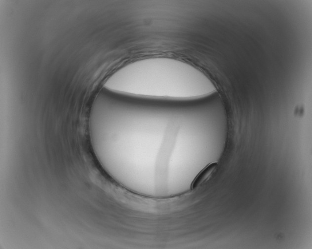 X0000113120035200908281052