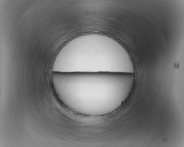 X0000113120036200908281052