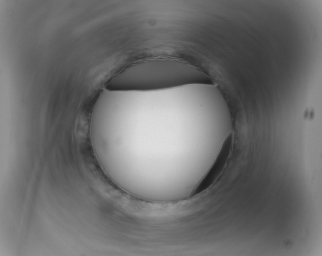 X0000113120037200908281052