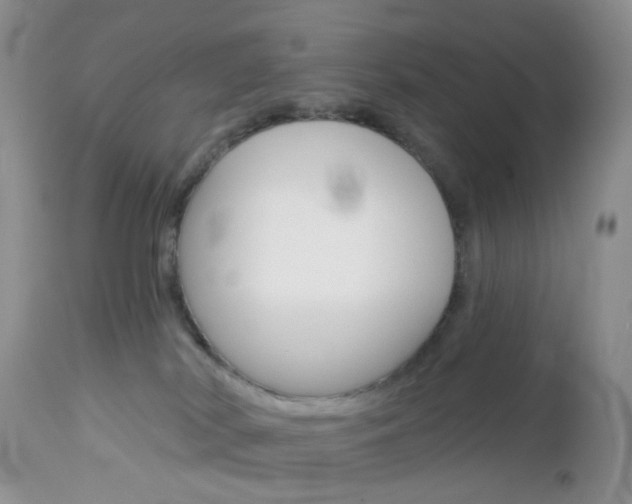 X0000113120038200908281052