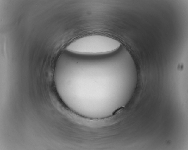 X0000113120039200908281052