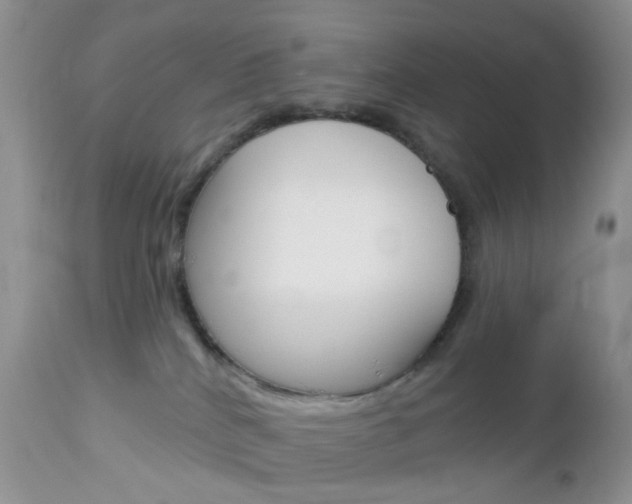 X0000113120040200908281052