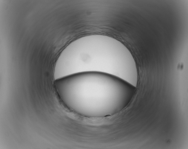 X0000113120041200908281052