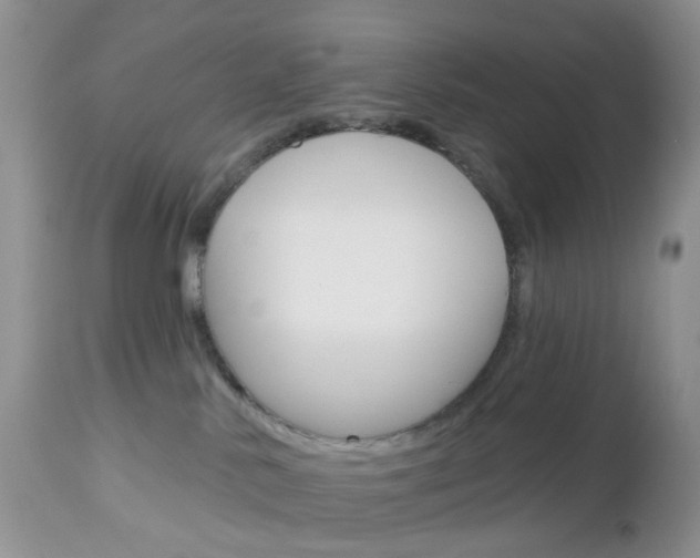 X0000113120042200908281052