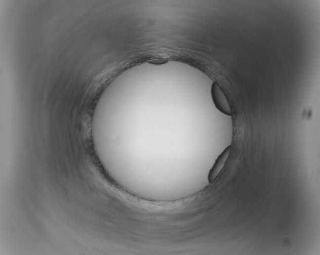 X0000113120043200908281052