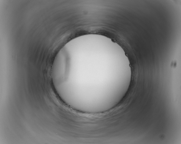 X0000113120044200908281052