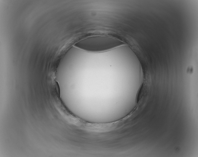 X0000113120045200908281052