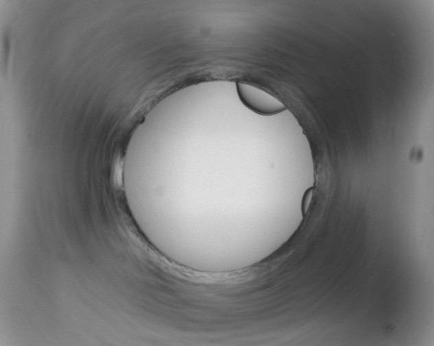 X0000113120046200908281052