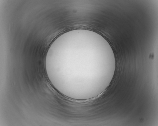 X0000113120047200908281052
