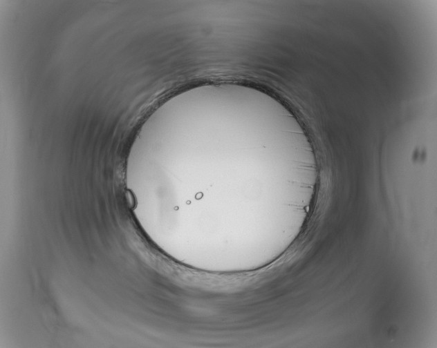 X0000113120048200908281052