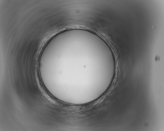 X0000113120049200908281052