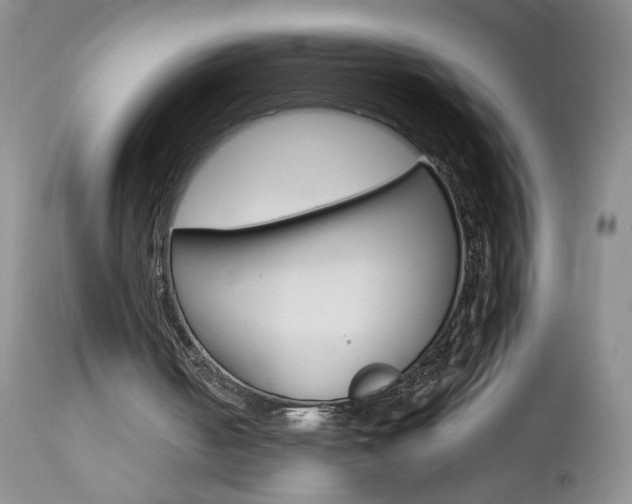 X0000113120050200908281052