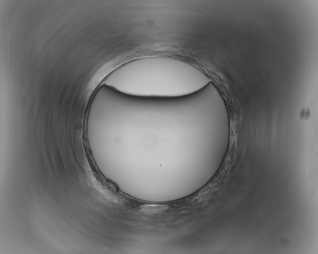 X0000113120051200908281052