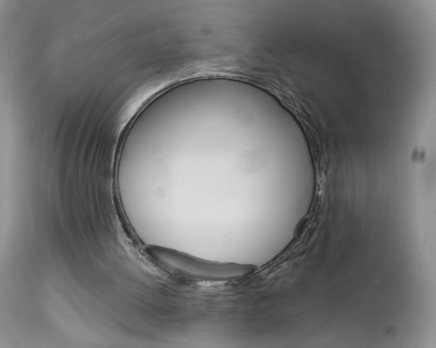 X0000113120052200908281052