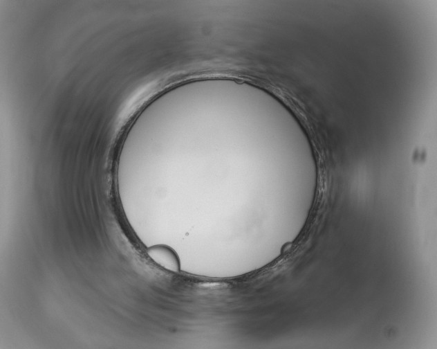 X0000113120053200908281052