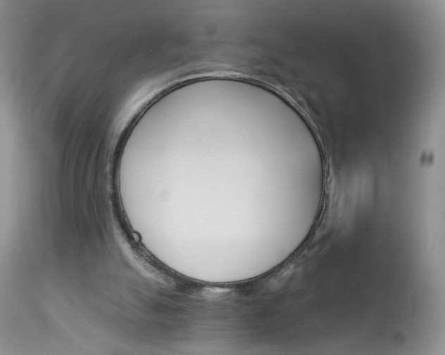 X0000113120055200908281052