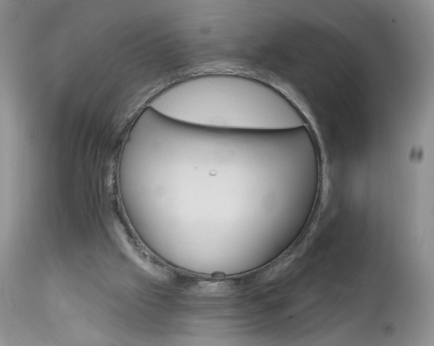 X0000113120057200908281052