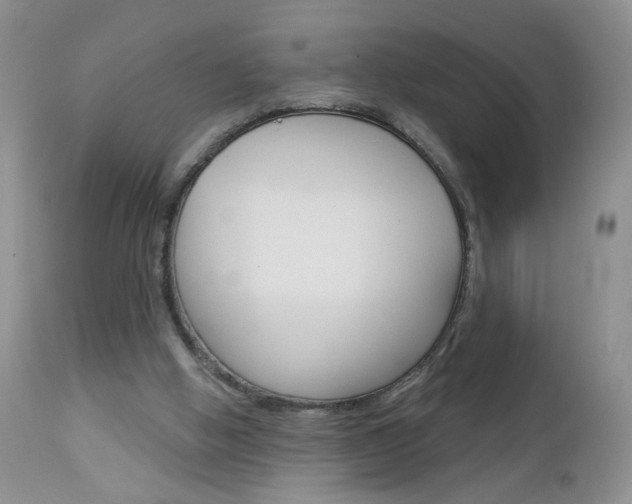 X0000113120058200908281052