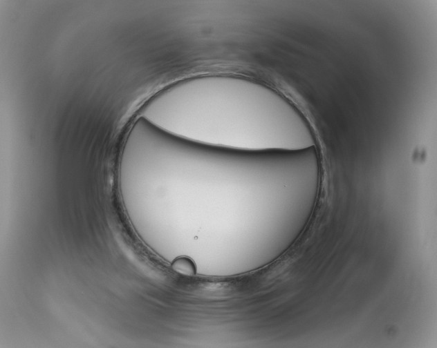 X0000113120059200908281052