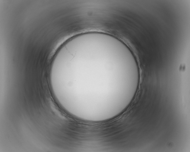 X0000113120060200908281052