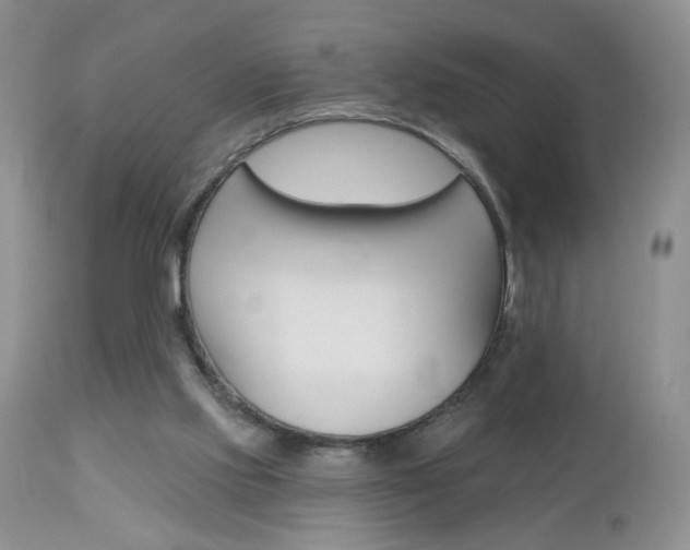 X0000113120061200908281052