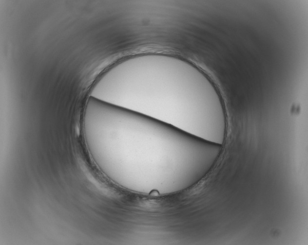X0000113120062200908281052