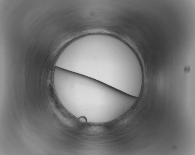 X0000113120063200908281052