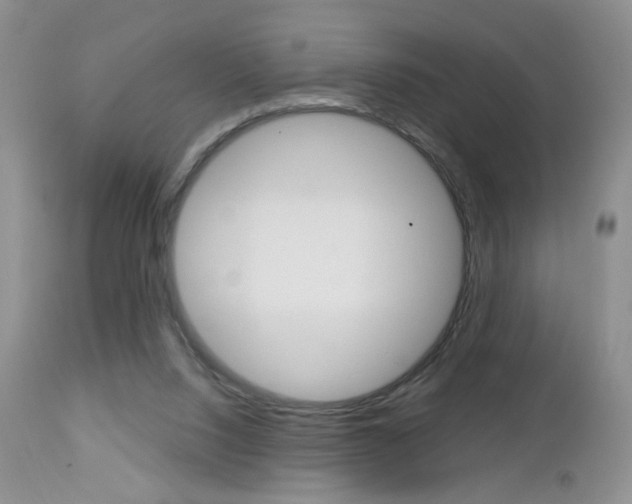 X0000113120064200908281052