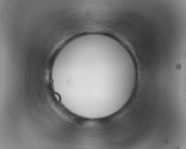 X0000113120067200908281052