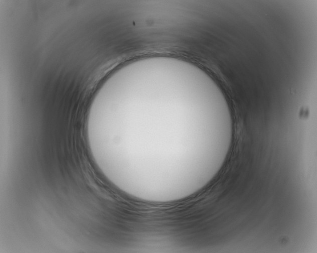 X0000113120068200908281052