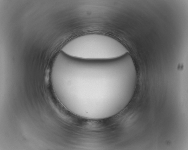 X0000113120070200908281052