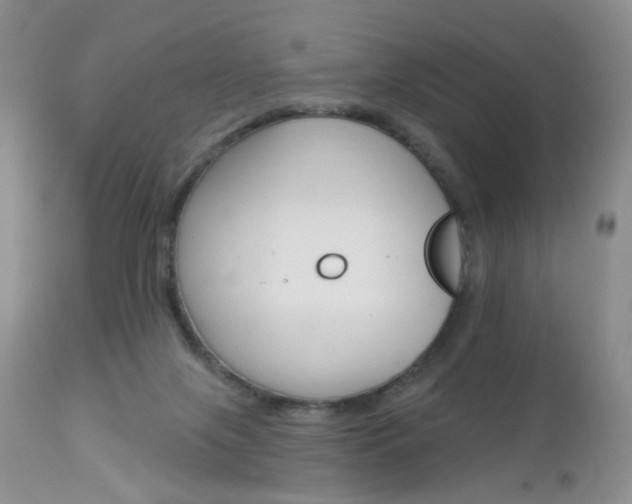 X0000113120071200908281052