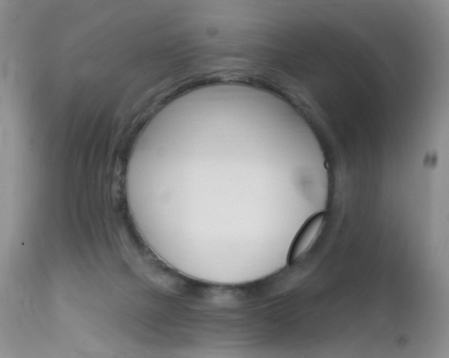 X0000113120073200908281052