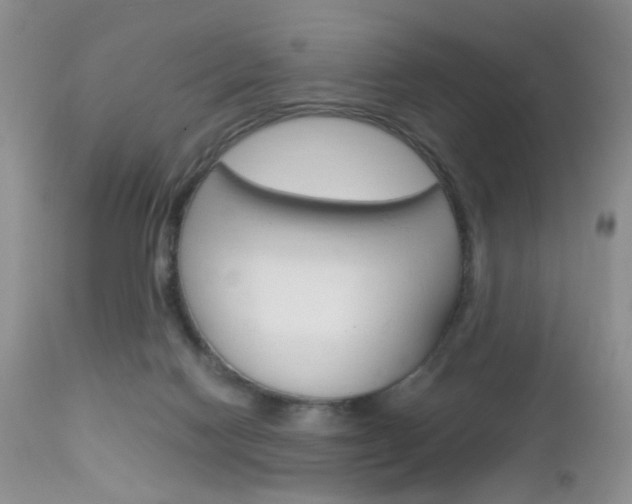 X0000113120074200908281052