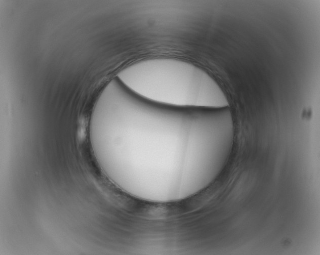 X0000113120075200908281052
